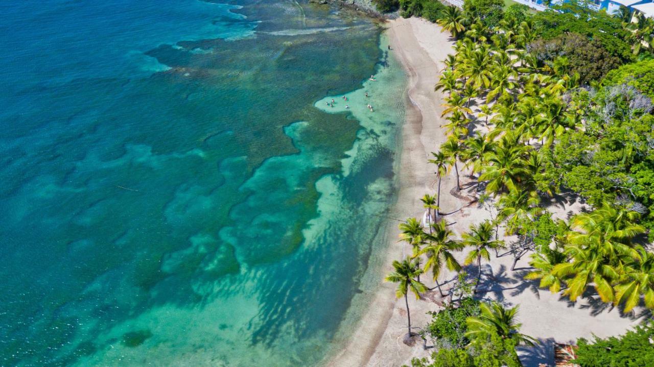فندق Senator بويرتو بلاتا المظهر الخارجي الصورة Aerial view of the beach